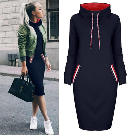 Women's long sleeve high collar sweater dress